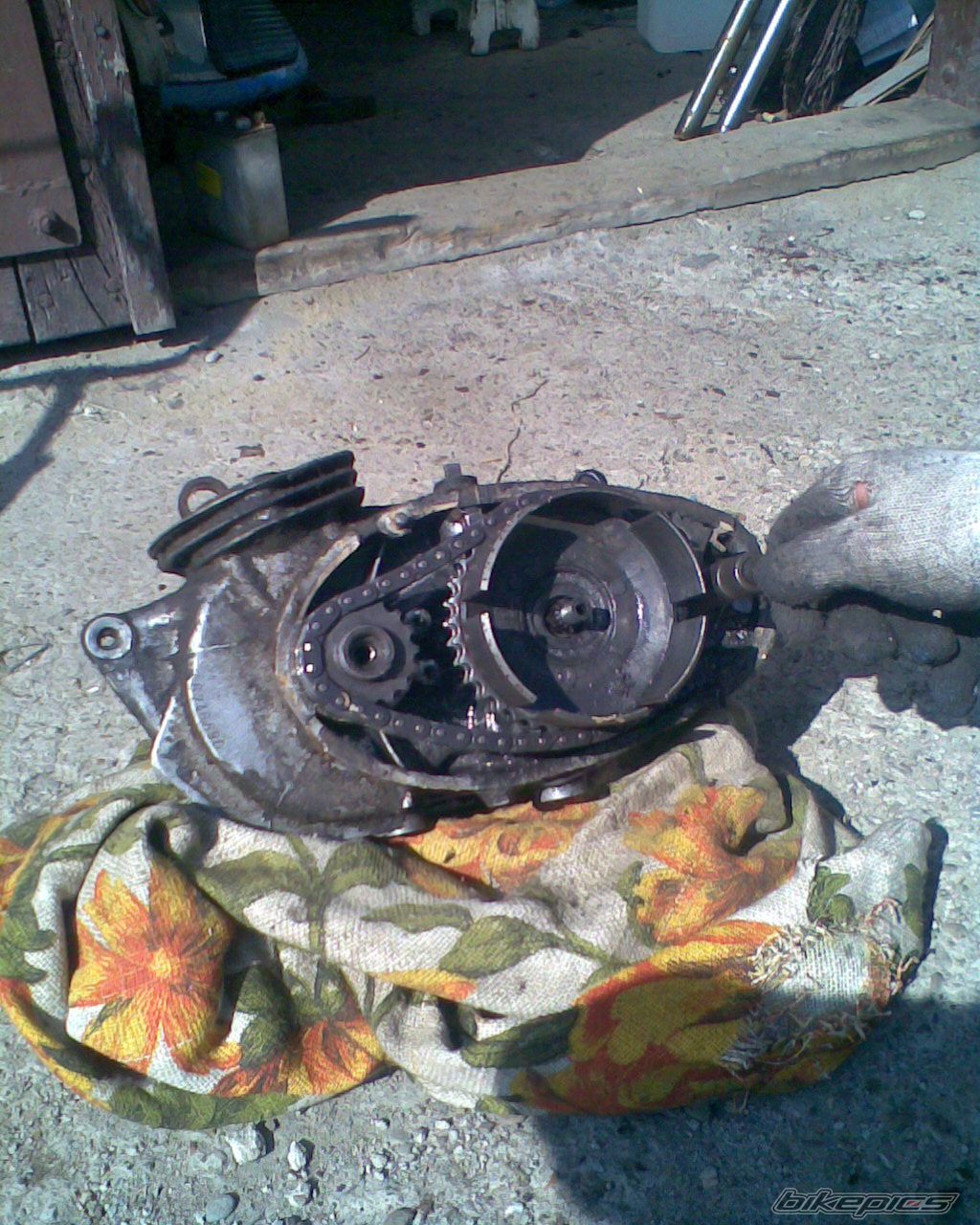 Bike Photo 1969841