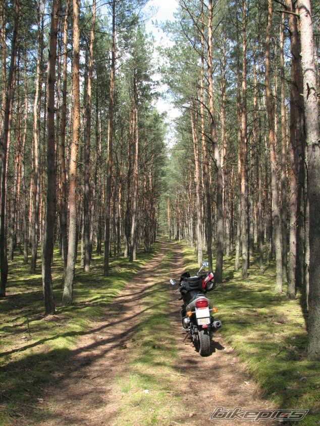 Bike Photo 1969854