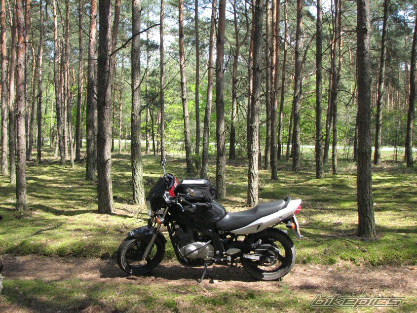 Bike Photo 1969855