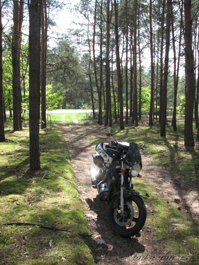 Bike Photo 1969858