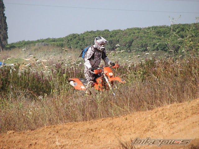 Photo 1969956