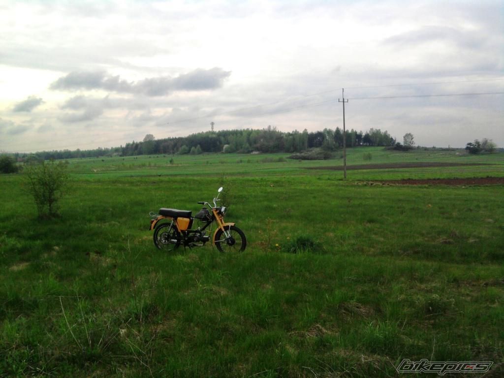 Photo 1969958