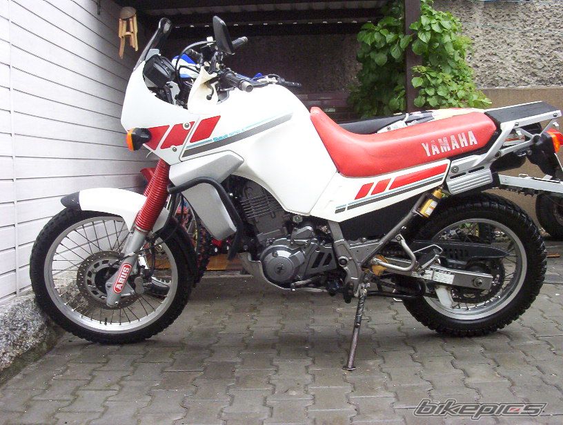Photo 1970019