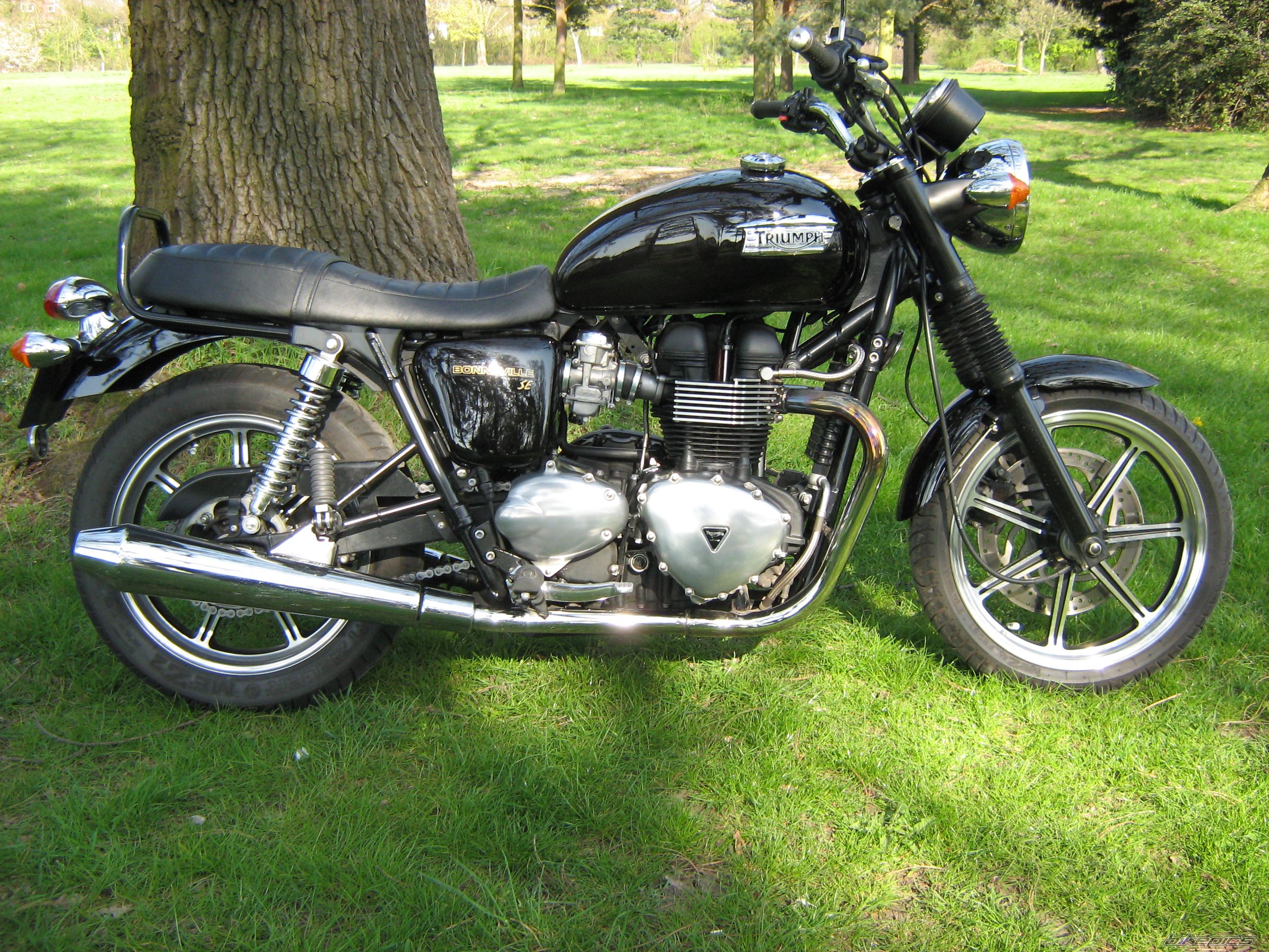Photo 1970068
