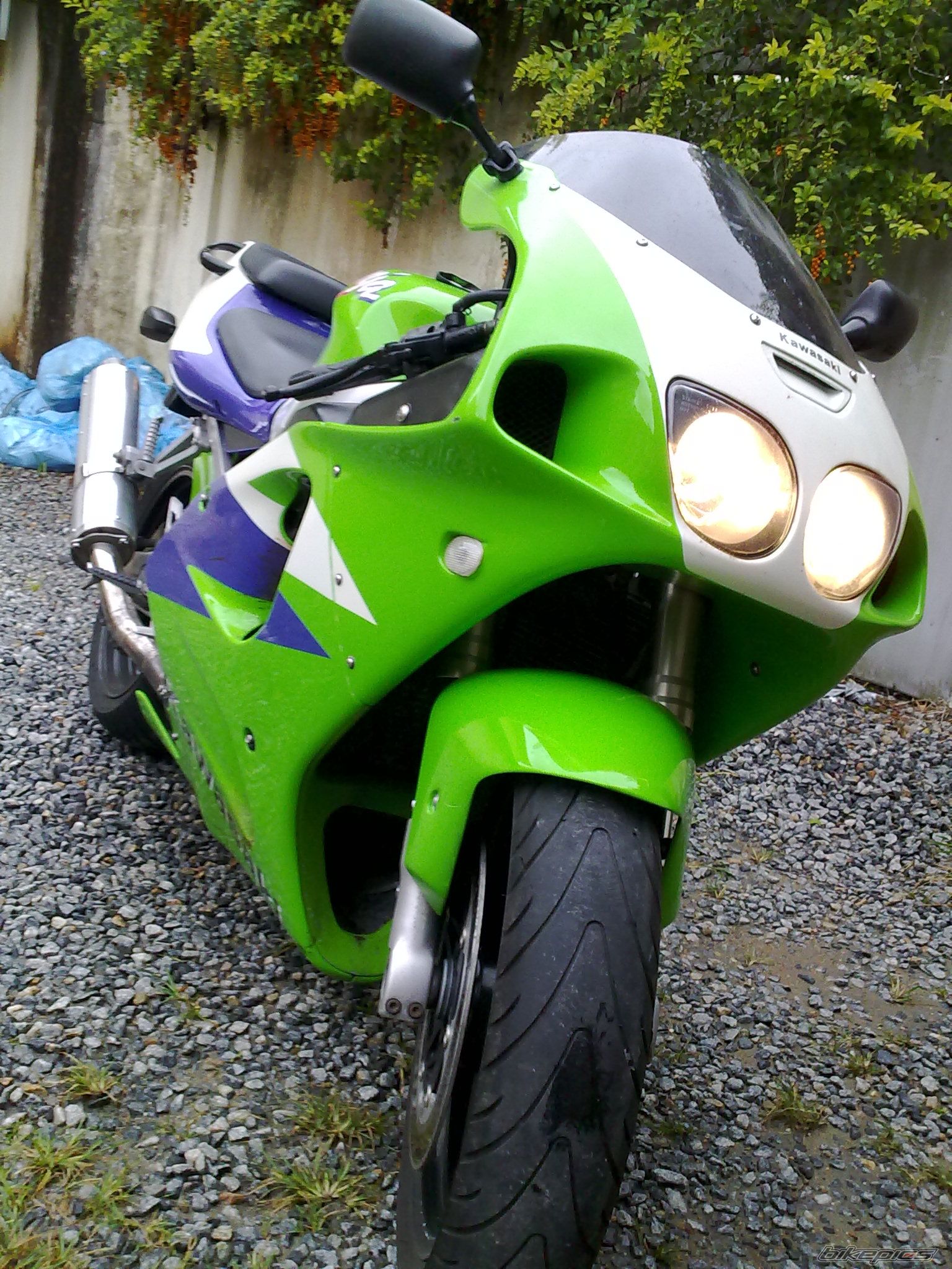 Photo 1970081