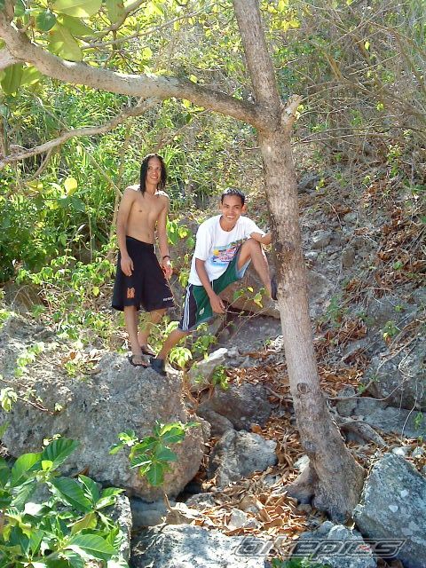 Photo 1970234