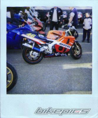 Photo 197028