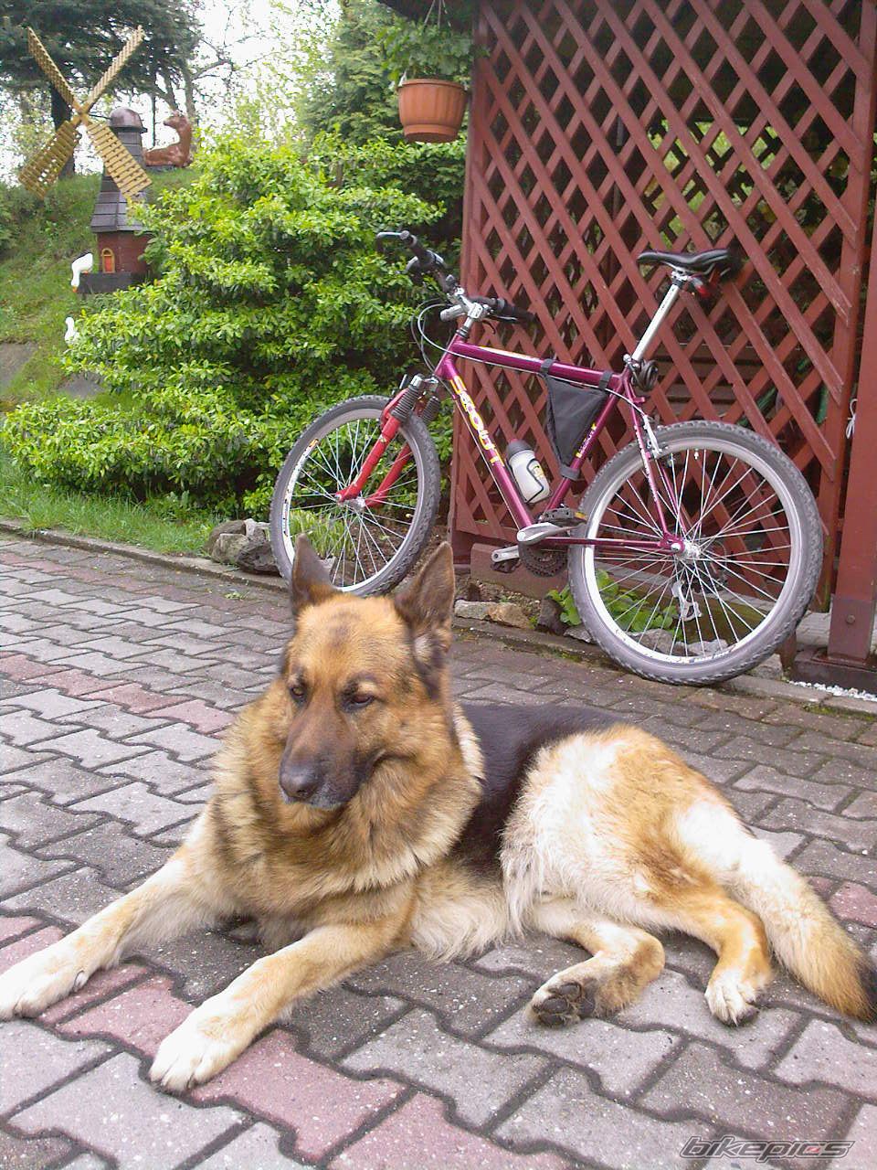 Bike Photo 1970393