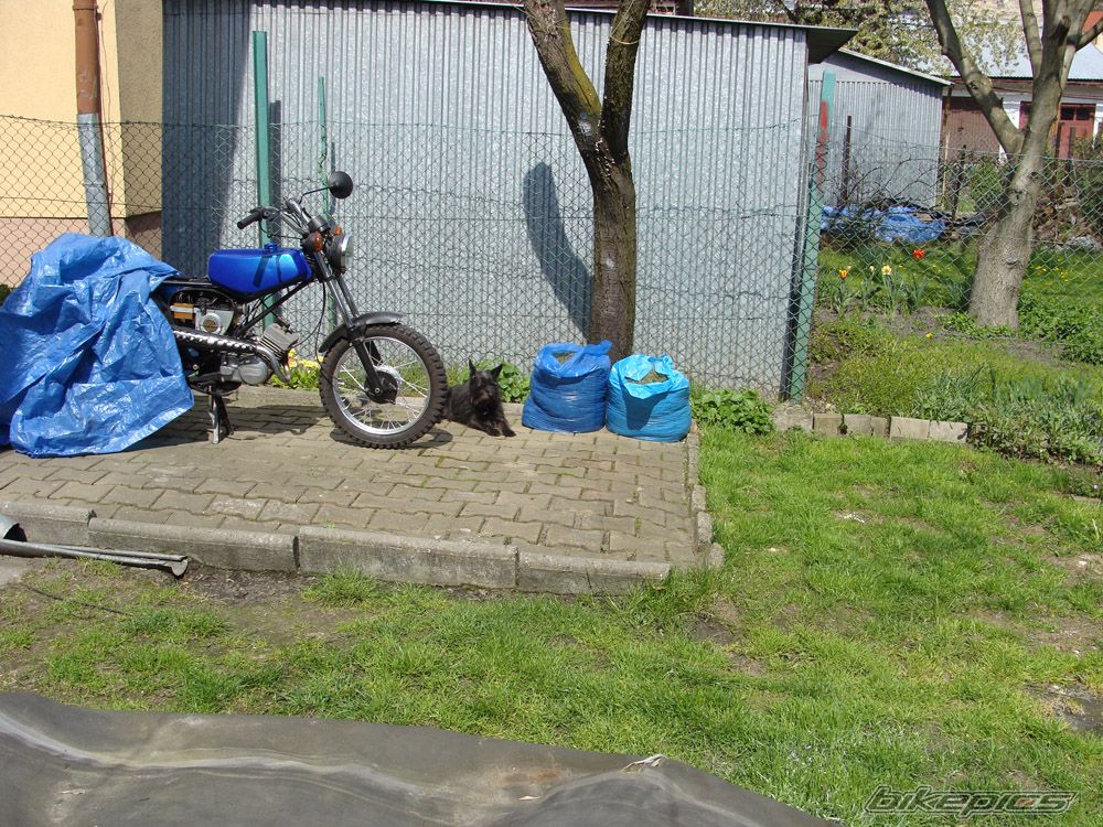 Photo 1970415