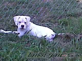 Photo 1970561