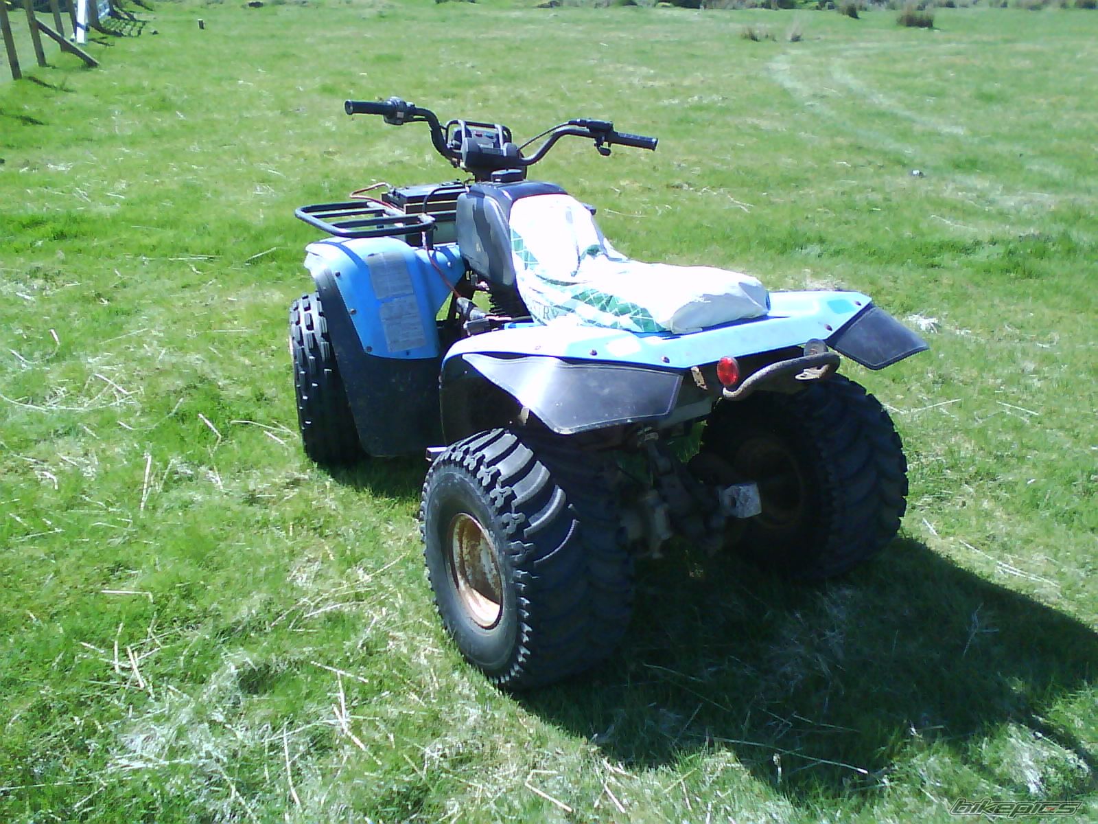 Photo 1970686