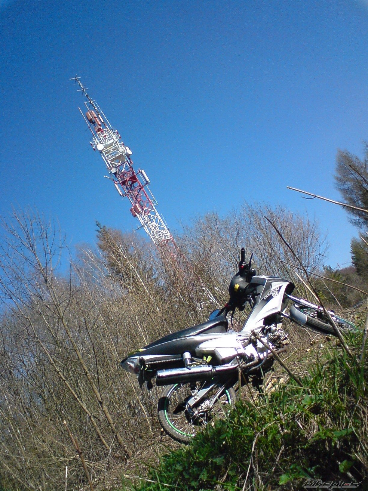 Photo 1970790