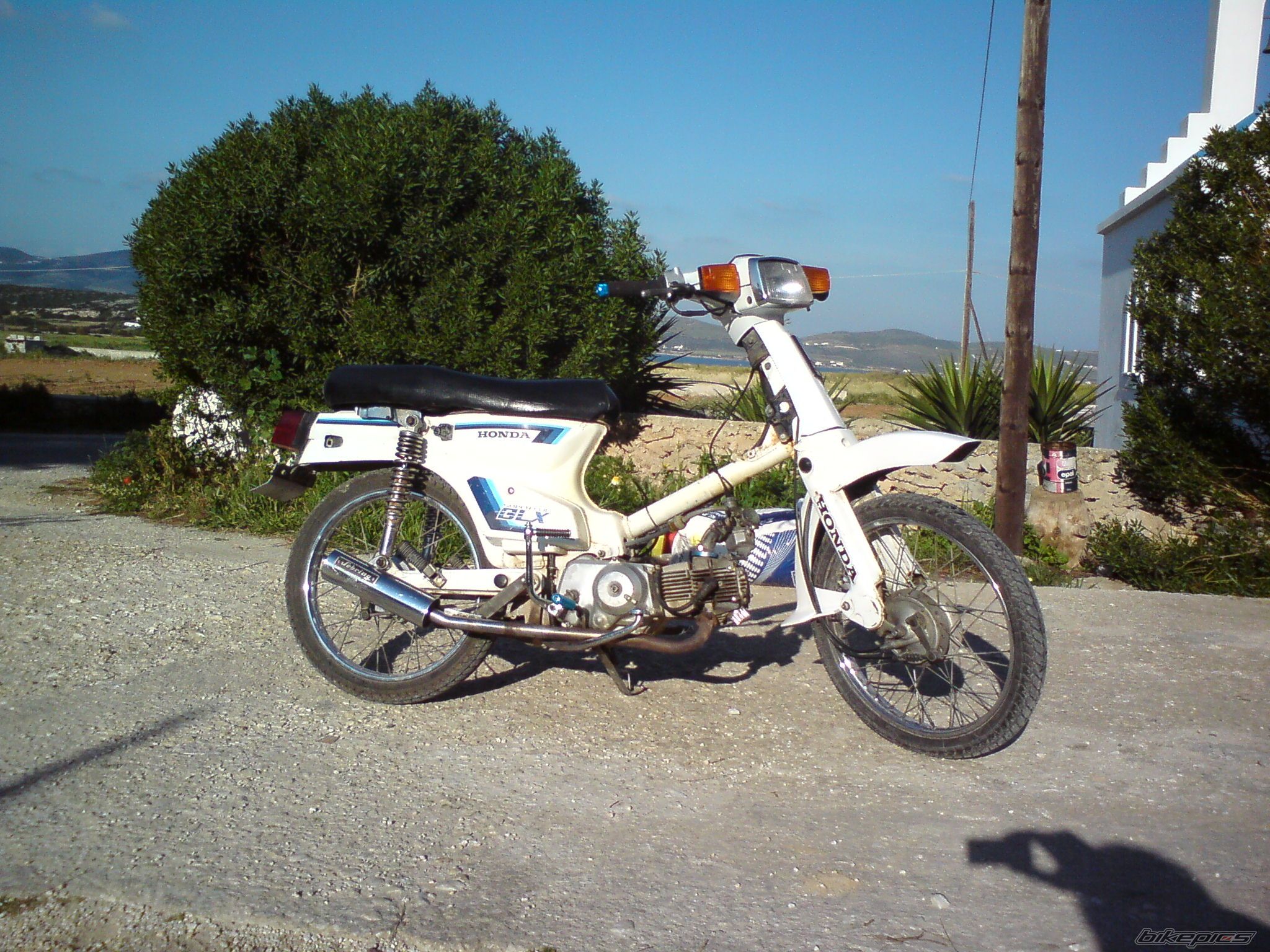 Photo 1970924