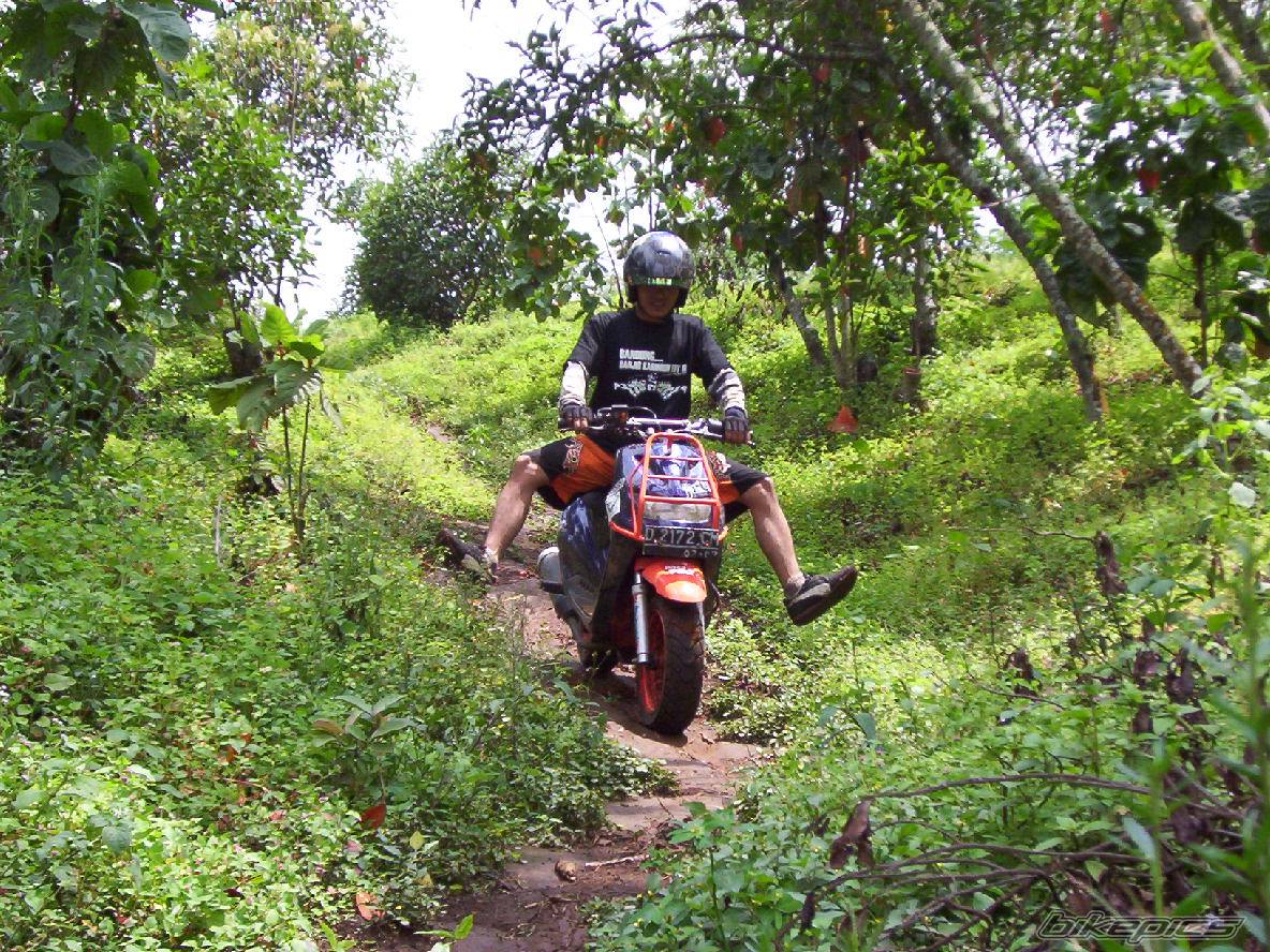 Bike Photo 197096