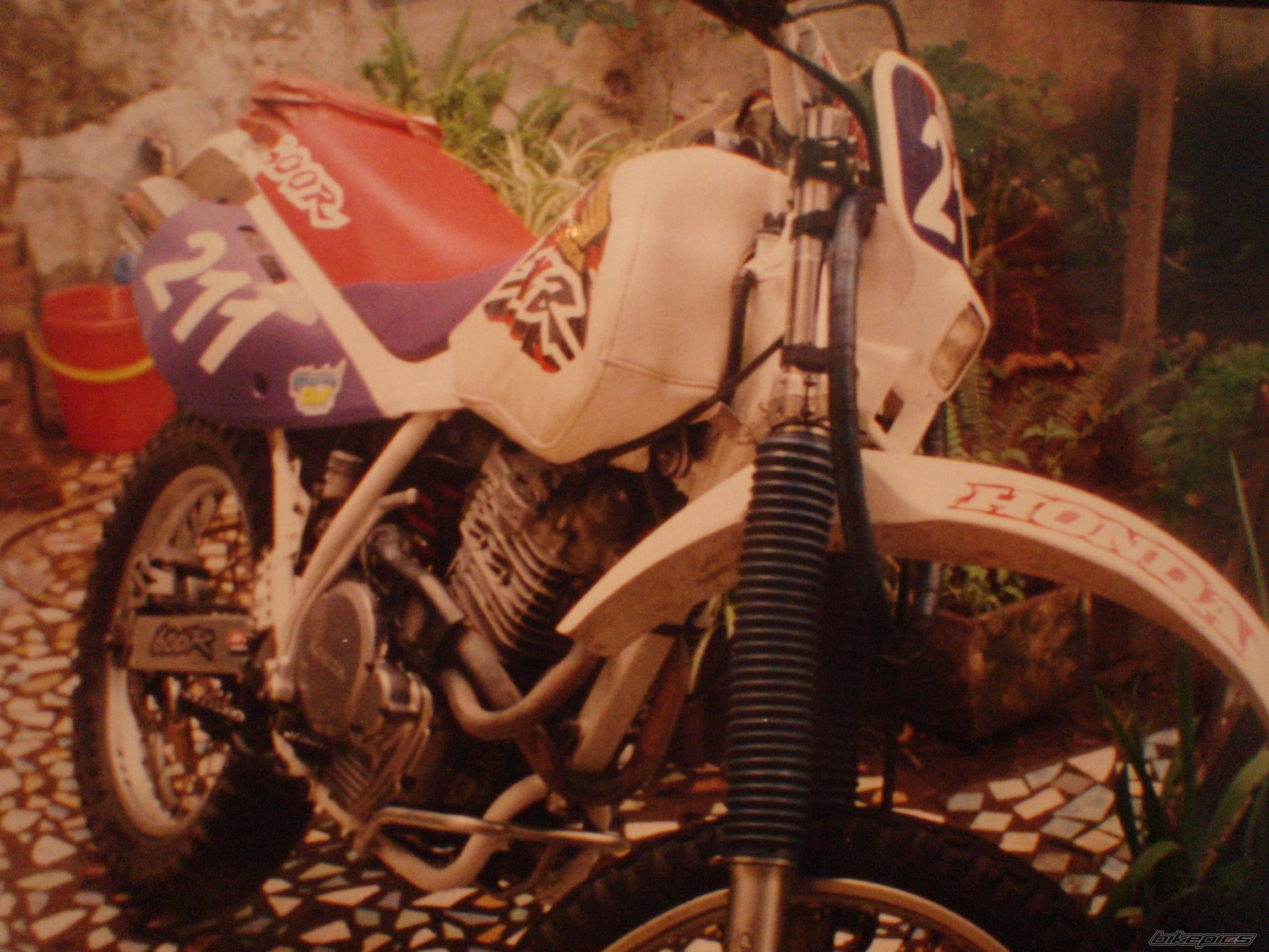 Photo 1970986