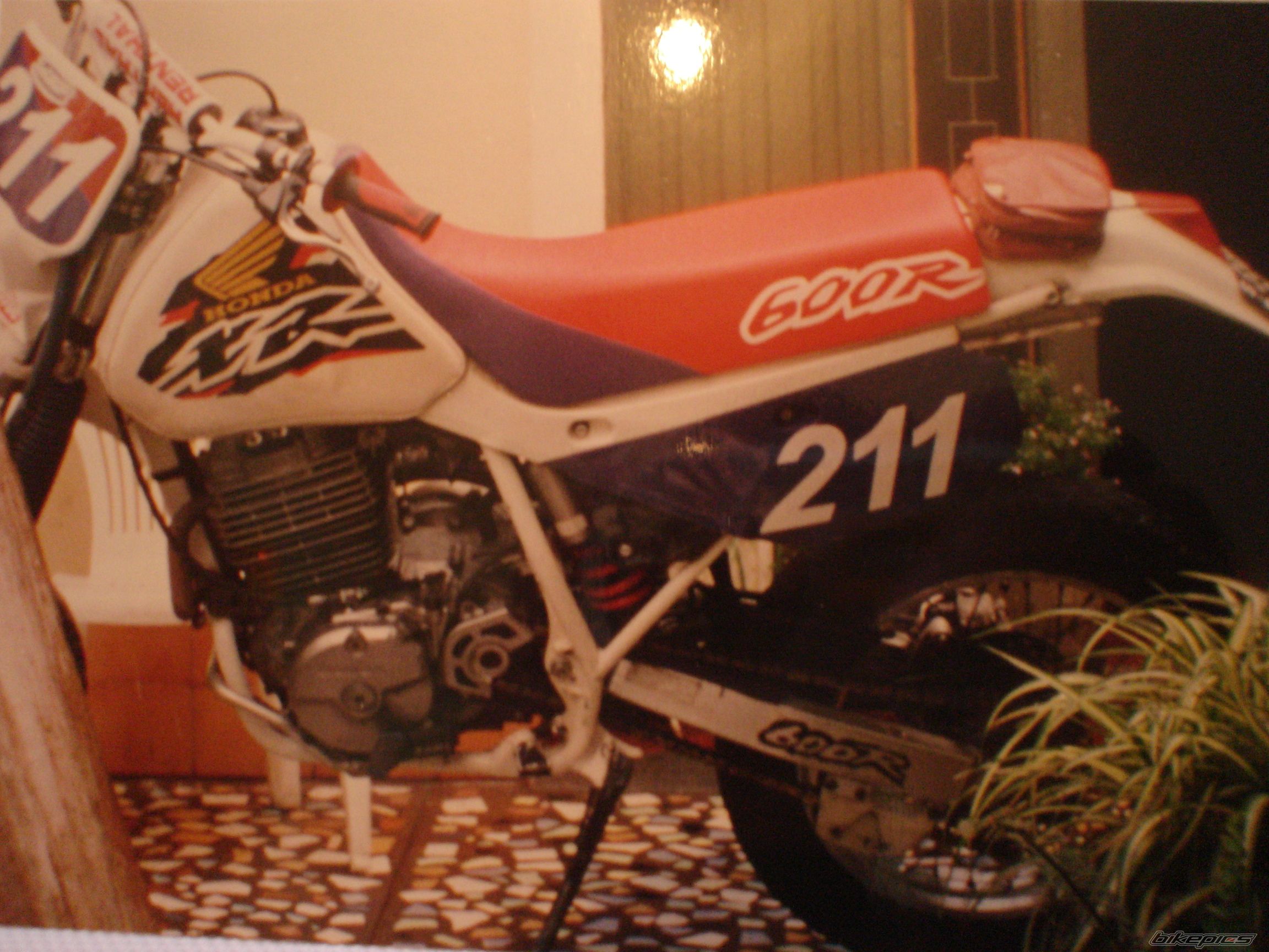 Photo 1970987