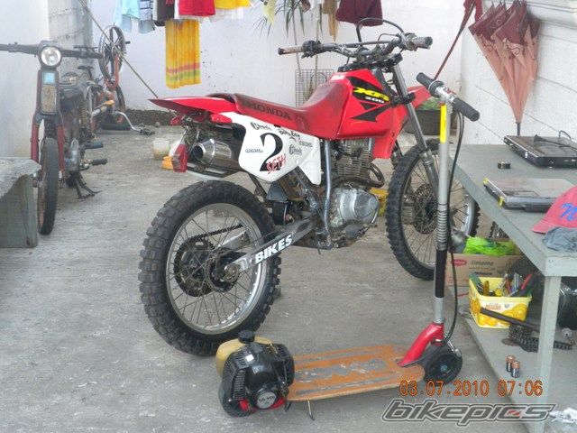 Photo 1971014
