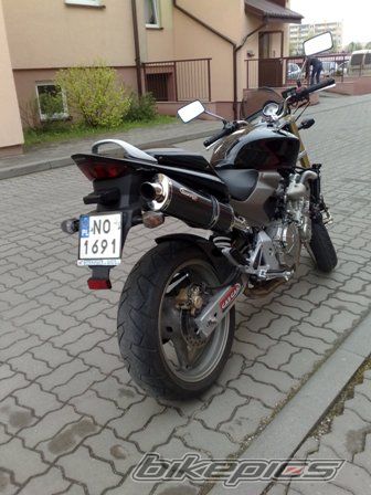 Photo 1971176