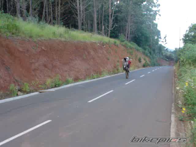 Photo 197118