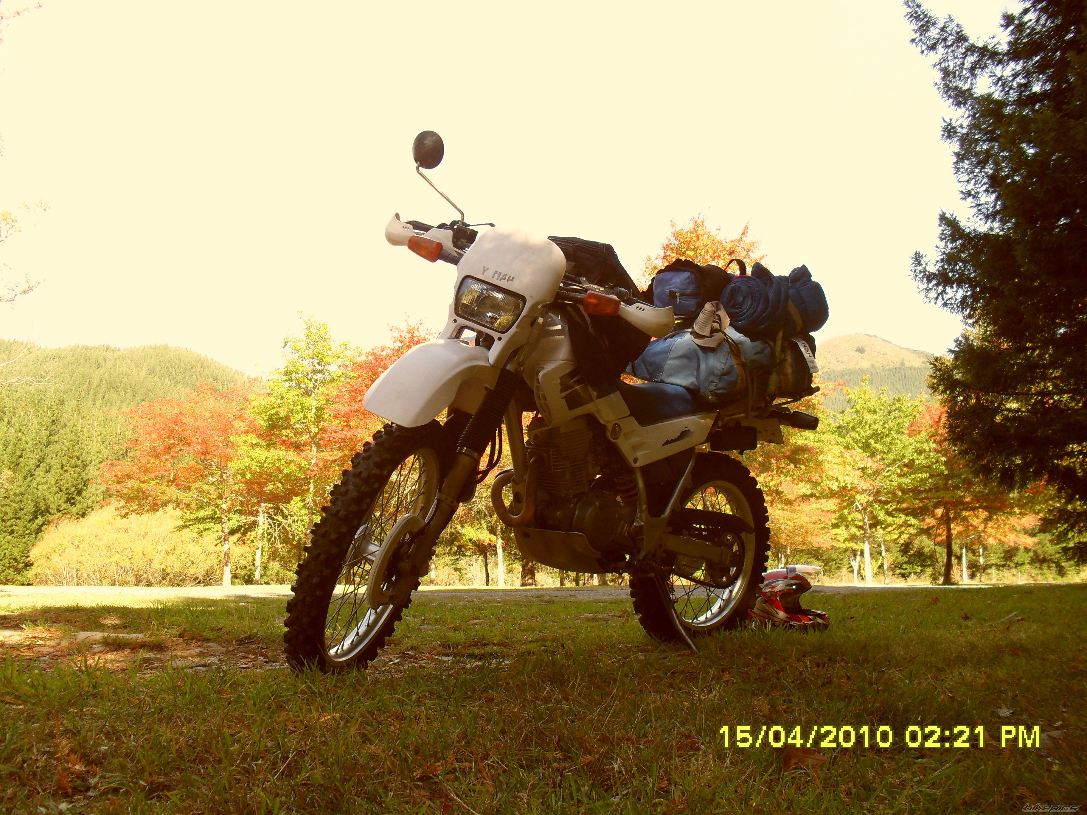 Photo 1971306