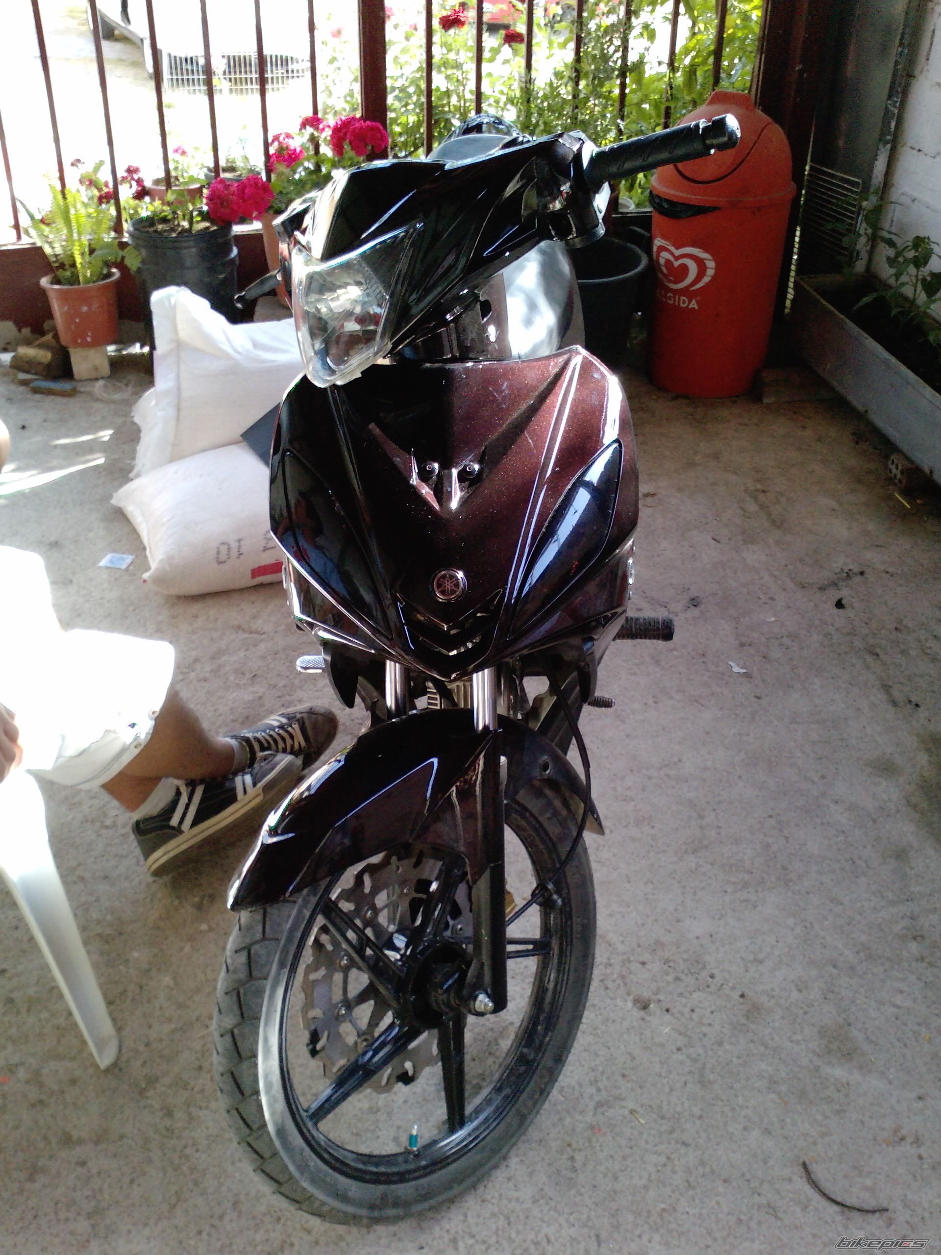 Bike Photo 1971357