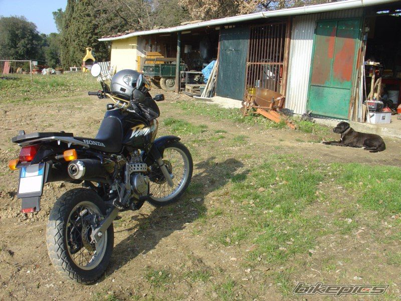Photo 1971371