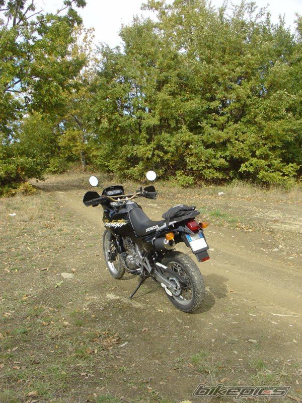 Photo 1971373