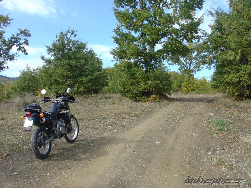 Photo 1971374