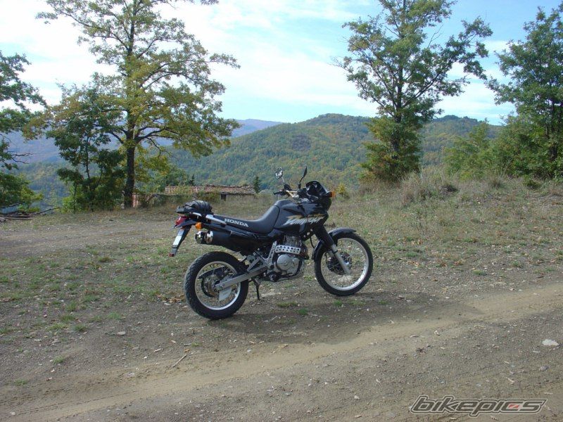 Photo 1971375