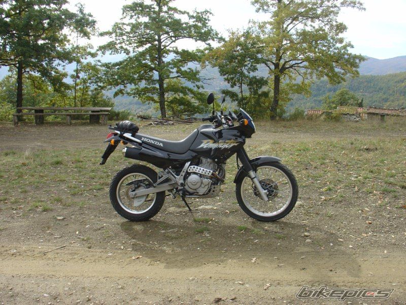 Photo 1971376