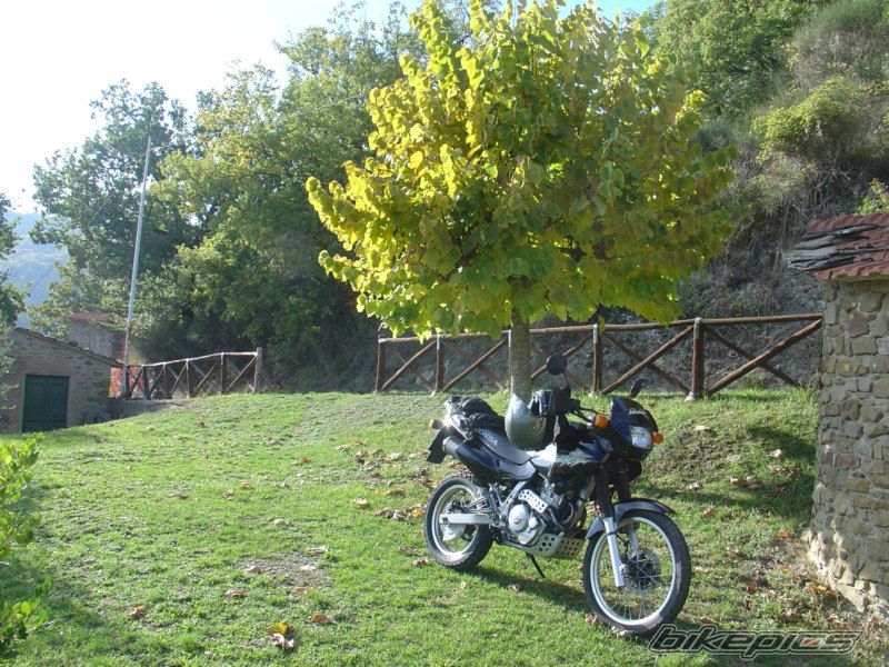 Photo 1971378