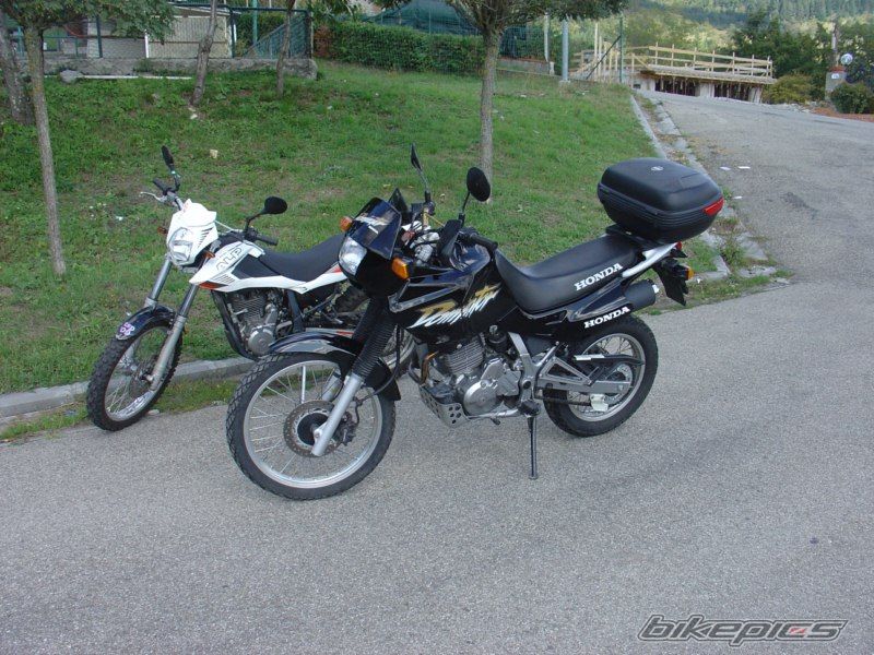 Photo 1971383