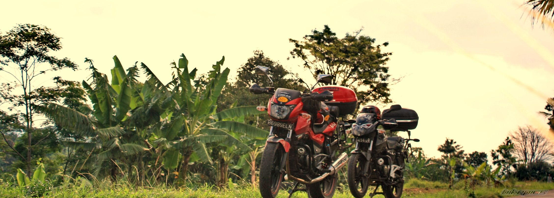 Bike Photo 1971407