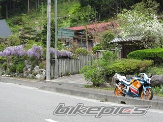 Photo 1971413