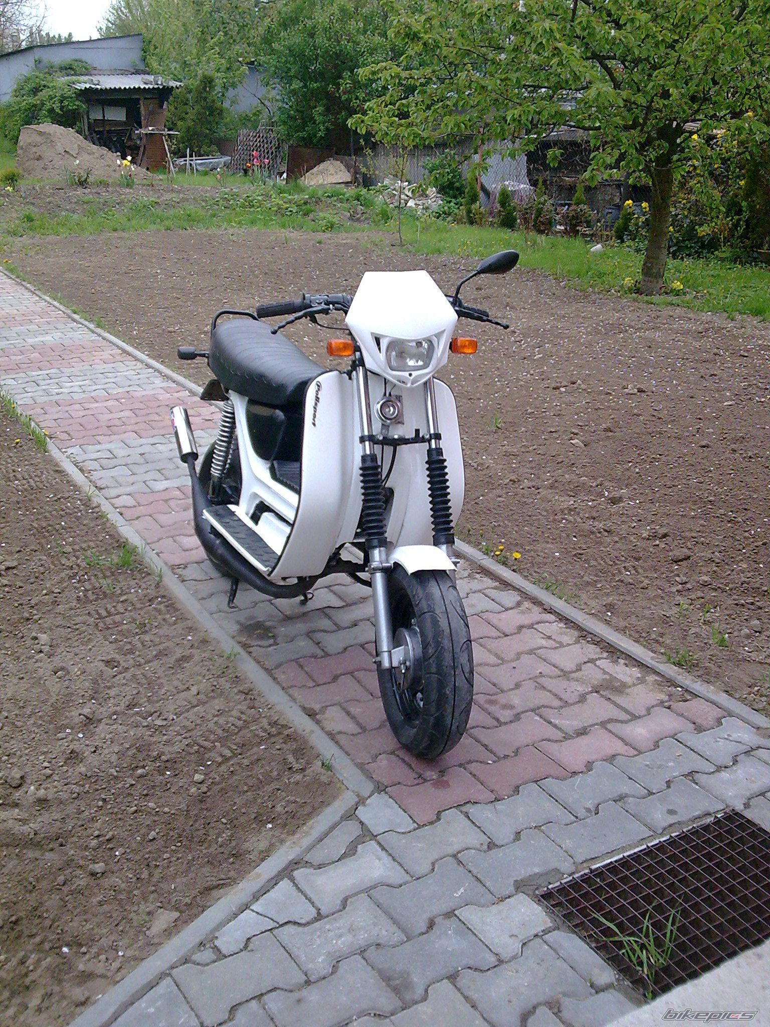 Photo 1971445