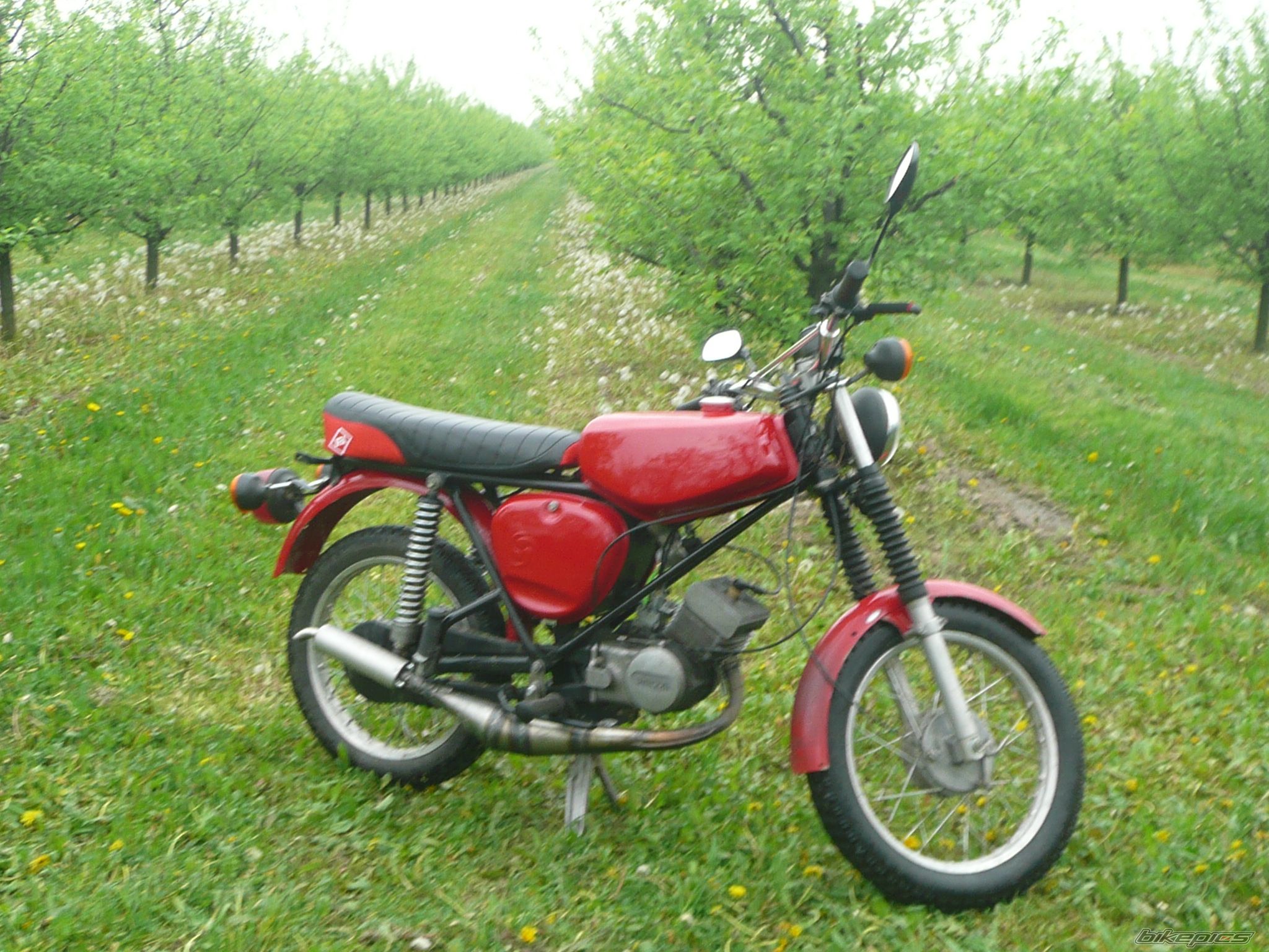 Bike Photo 1971482