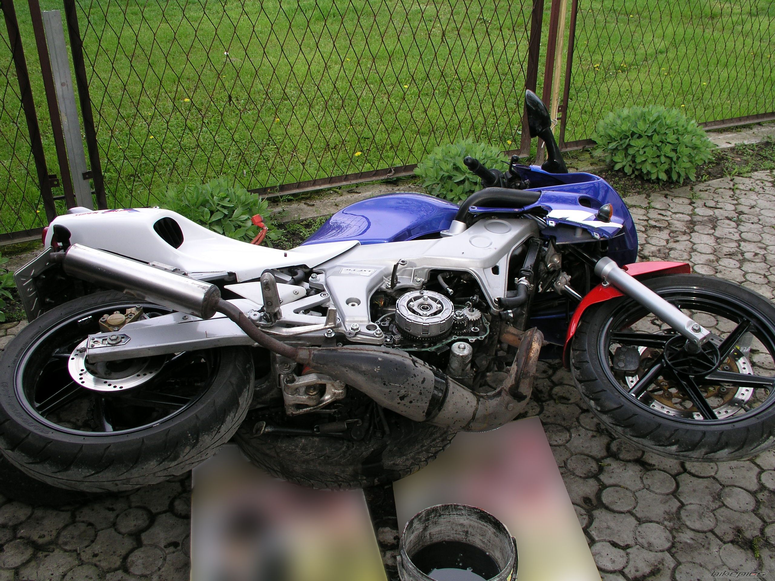 Photo 1971515