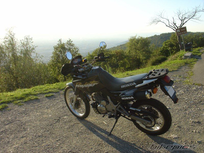 Photo 1971559