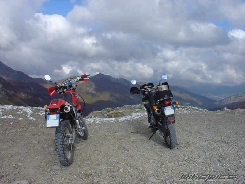 Photo 1971595