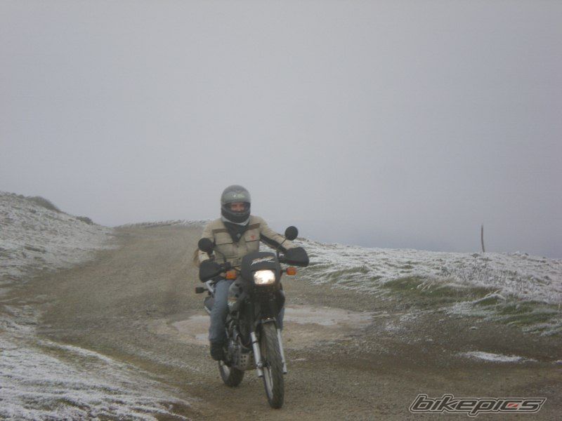 Photo 1971604