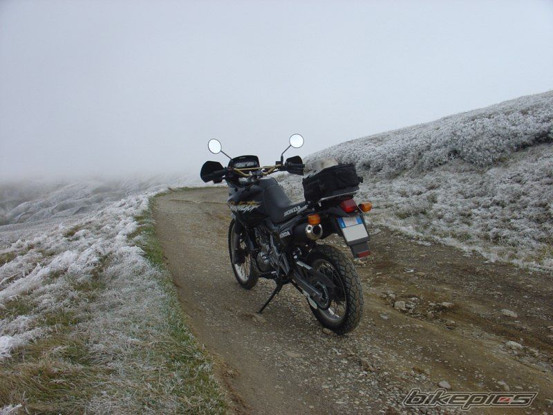 Photo 1971613