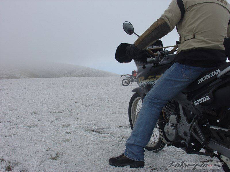Photo 1971620