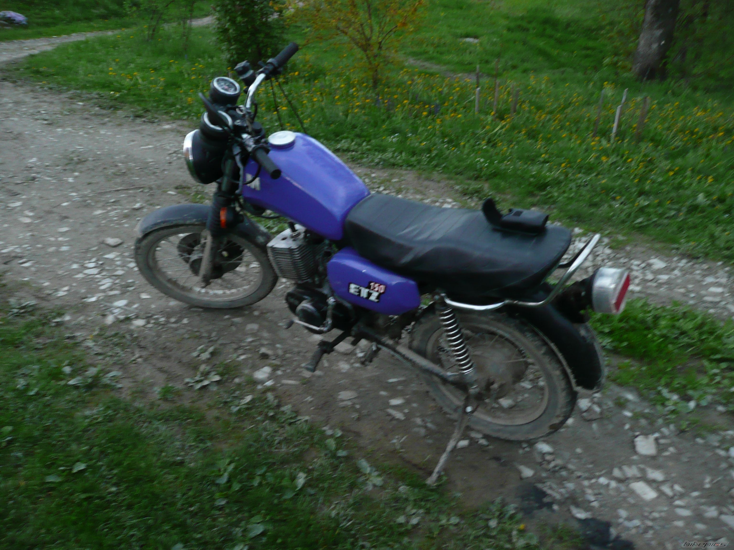 Photo 1971683
