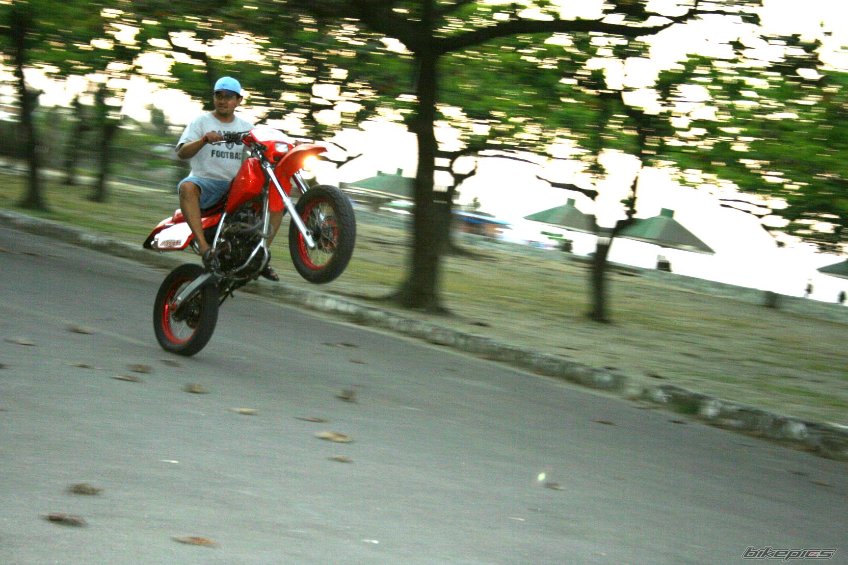Bike Photo 1971728