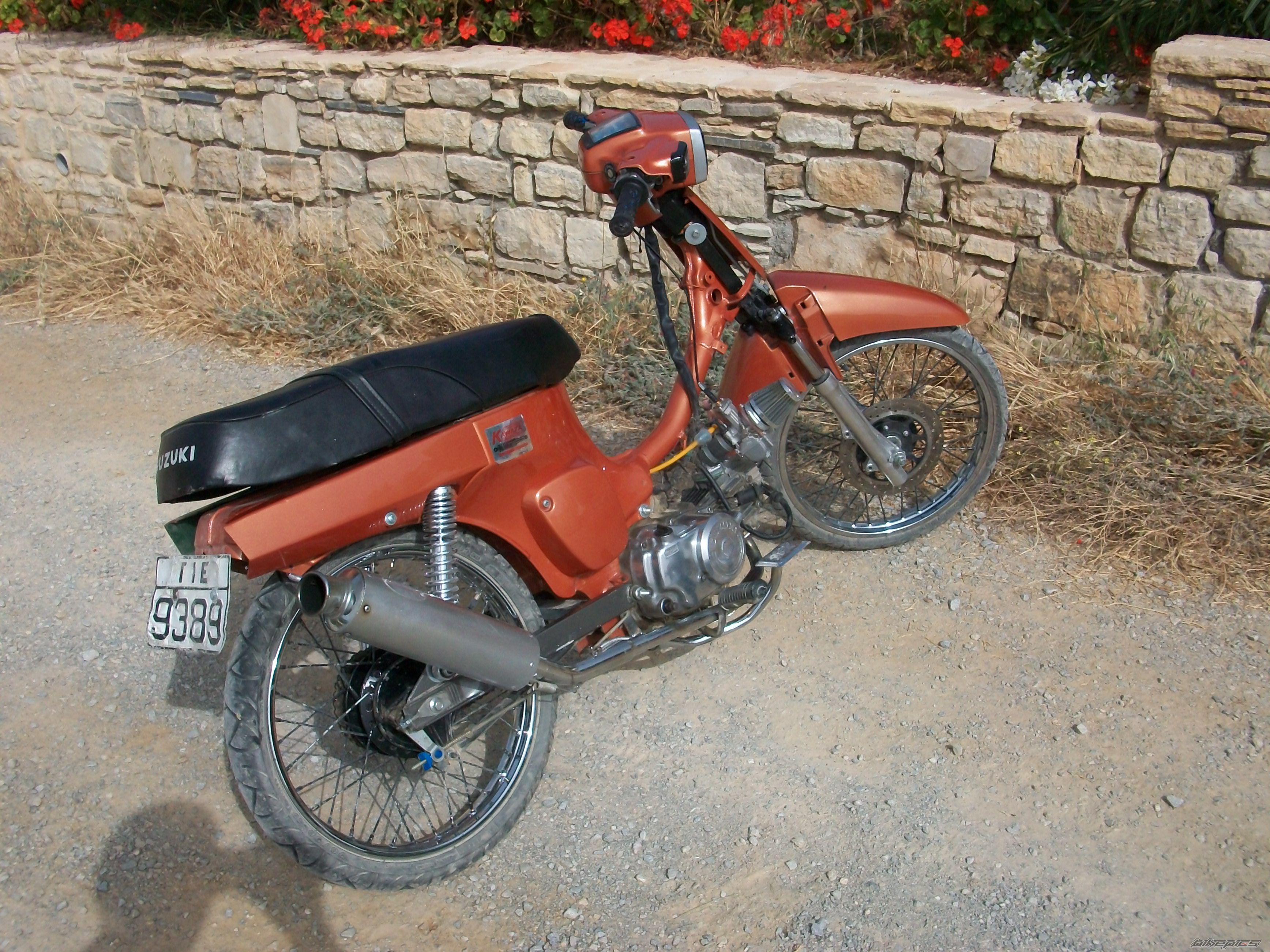 Photo 1971734