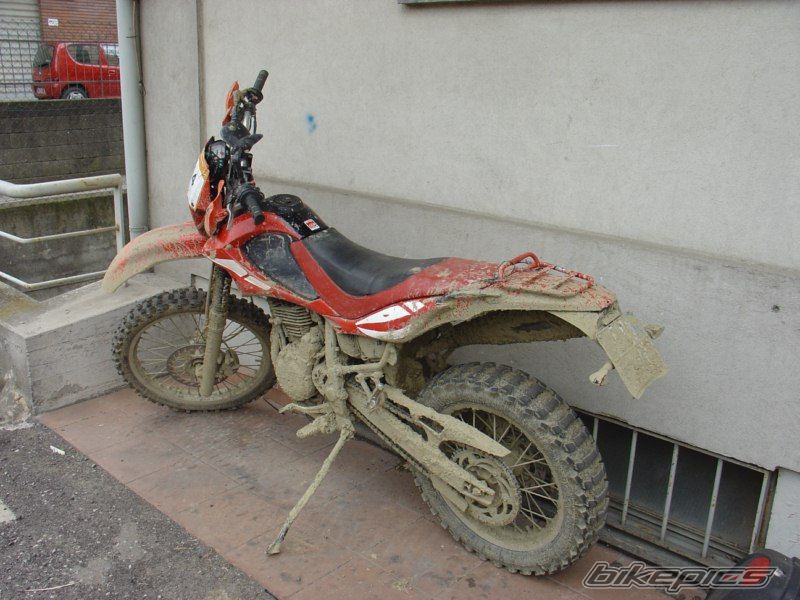 Photo 1972151
