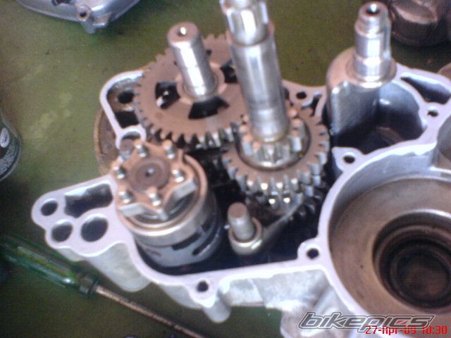 Photo 1972154