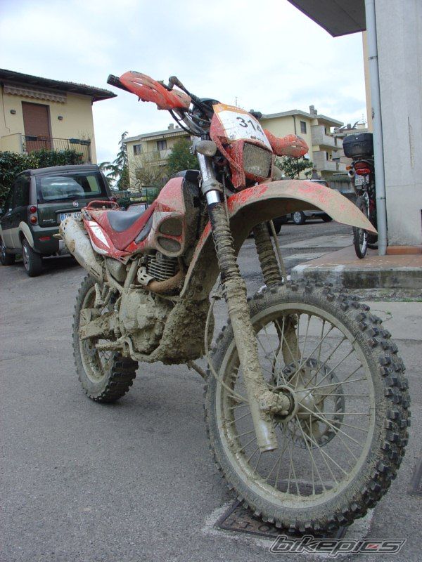 Photo 1972156