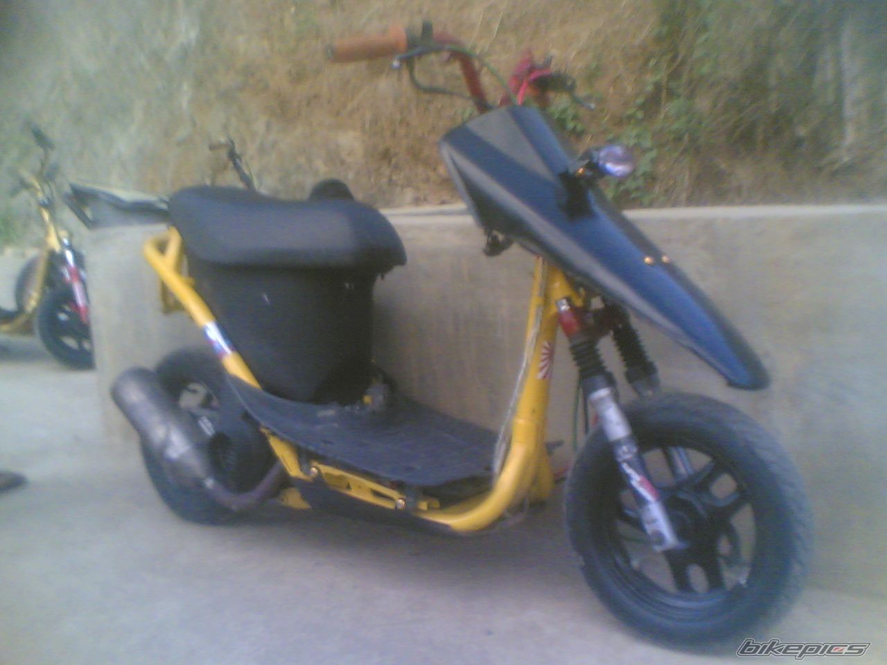 Photo 1972291