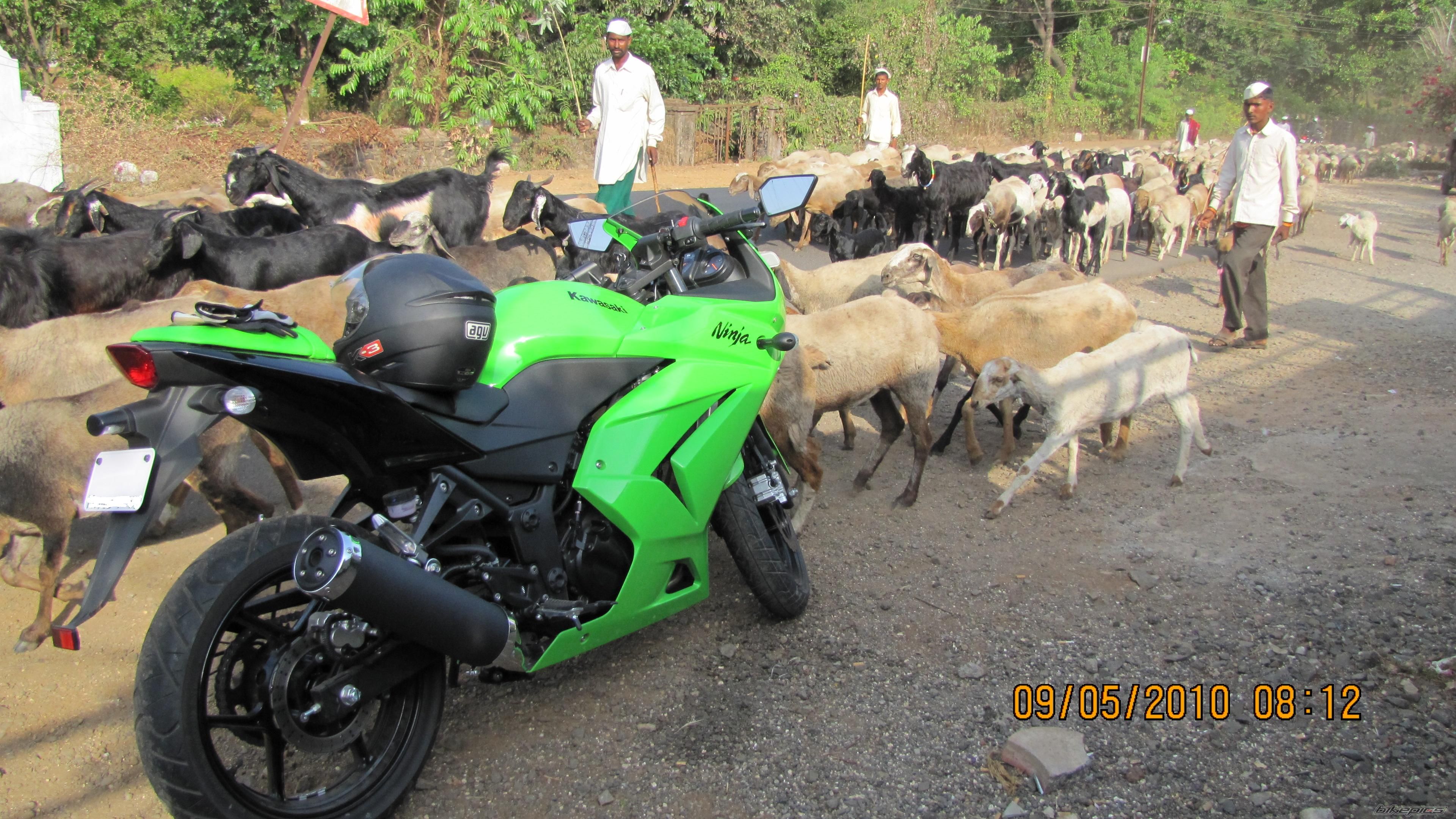 Bike Photo 1972309